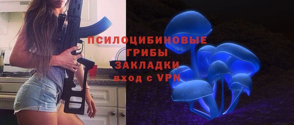 мяу мяу мука Елабуга