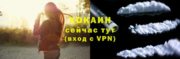 кокс Елизово