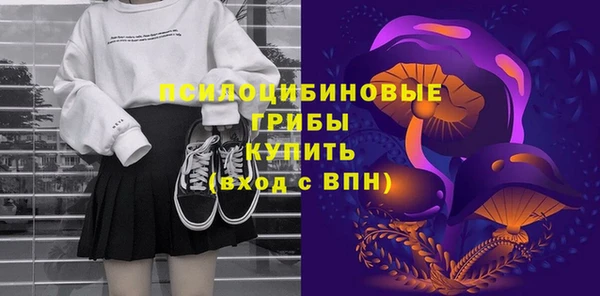 мяу мяу мука Елабуга