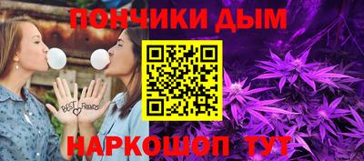 гашик Бийск