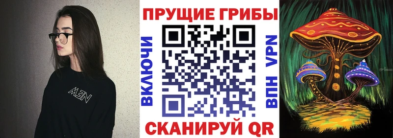 omg зеркало Выборг Псилоцибиновые грибы мухоморы