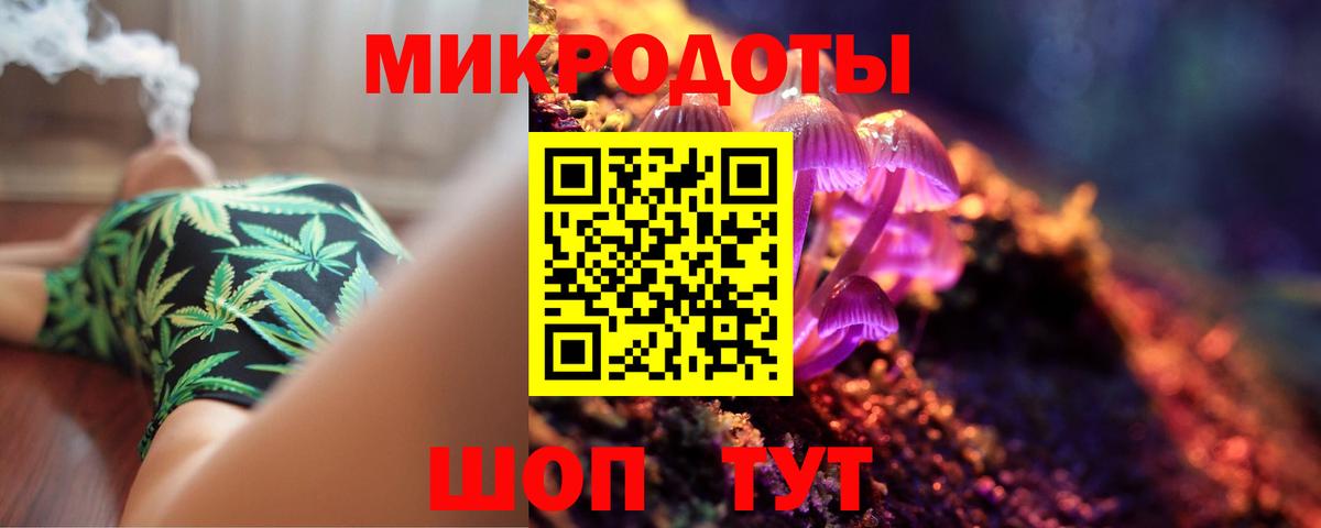 Выборг  Псилоцибиновые грибы ЛСД  Вход с VPN 