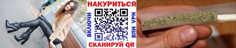 МАРИХУАНА план  Выборг 